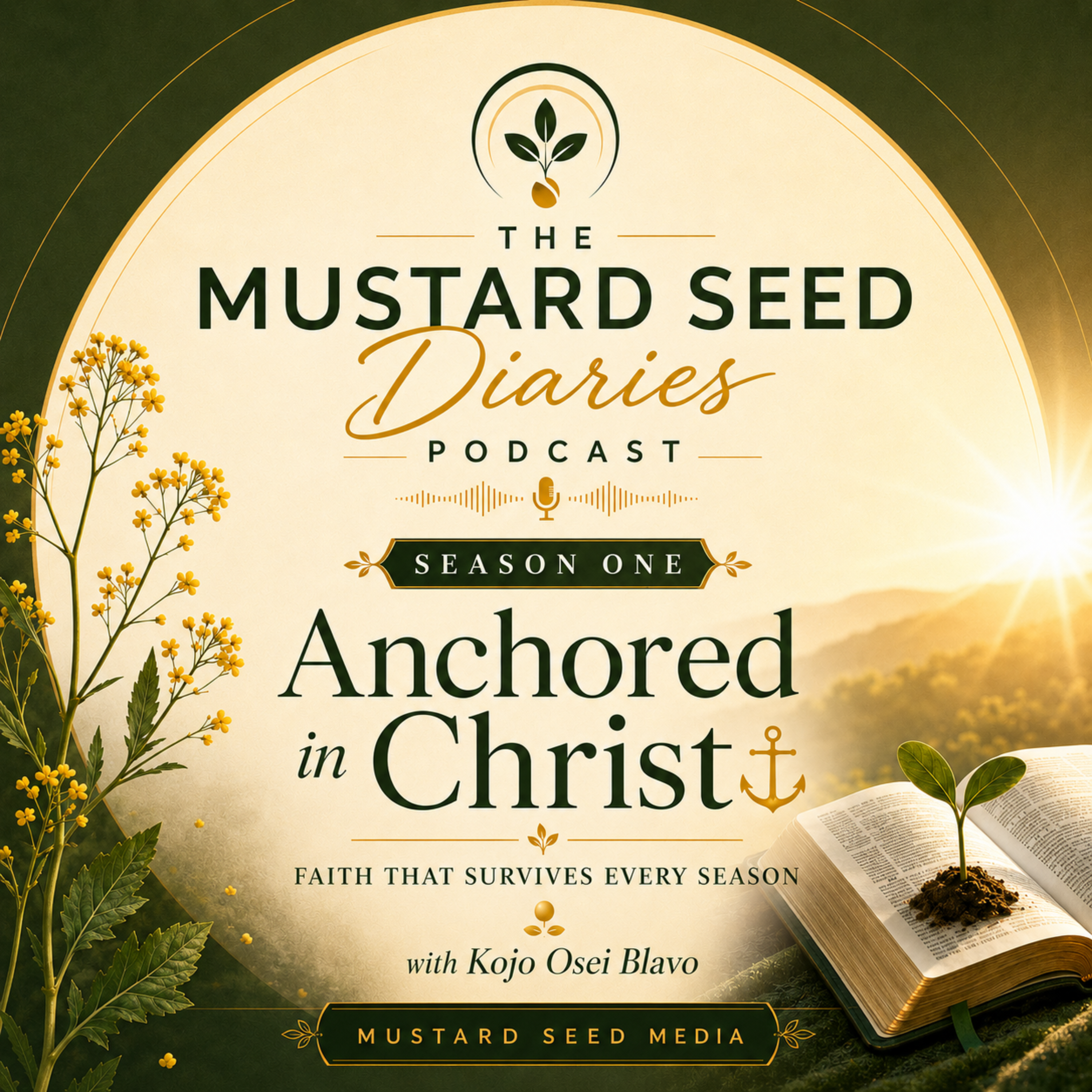The Mustard Seed Diaries Podcast